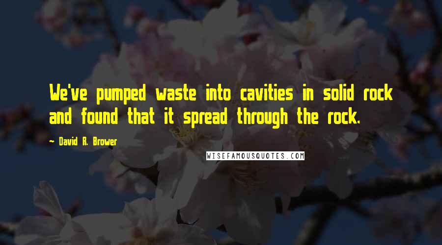 David R. Brower Quotes: We've pumped waste into cavities in solid rock and found that it spread through the rock.