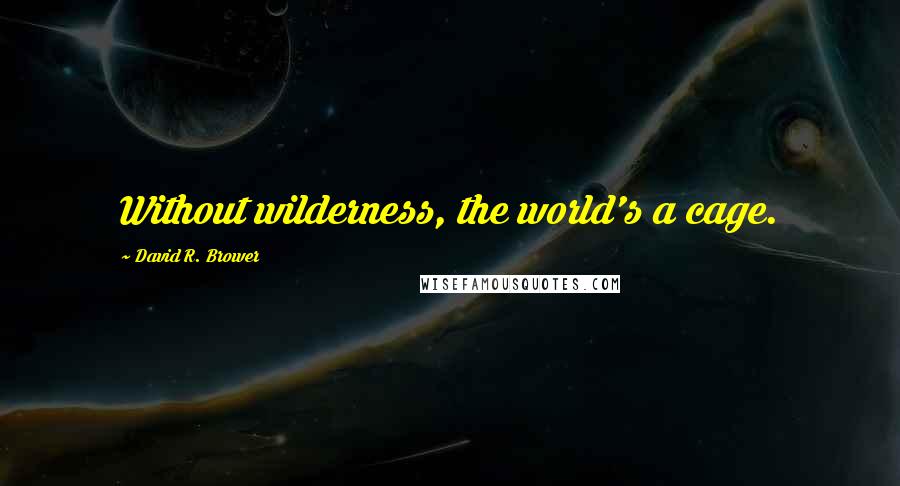 David R. Brower Quotes: Without wilderness, the world's a cage.