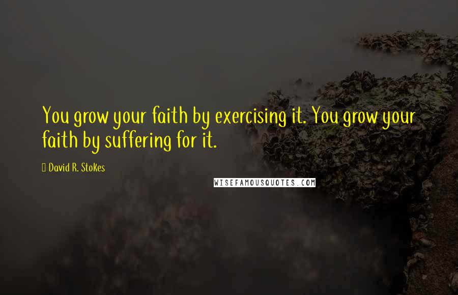 David R. Stokes Quotes: You grow your faith by exercising it. You grow your faith by suffering for it.
