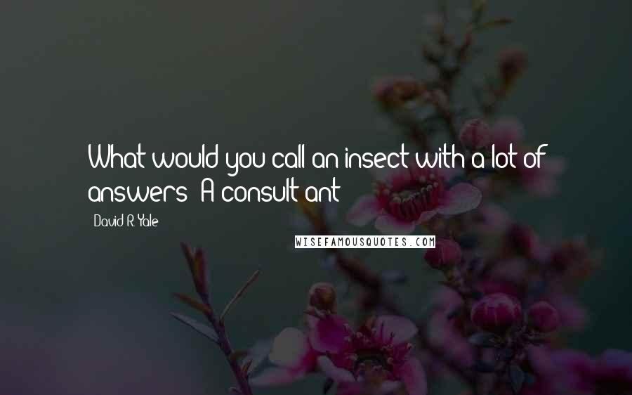 David R. Yale Quotes: What would you call an insect with a lot of answers? A consult-ant!