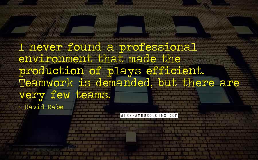 David Rabe Quotes: I never found a professional environment that made the production of plays efficient. Teamwork is demanded, but there are very few teams.