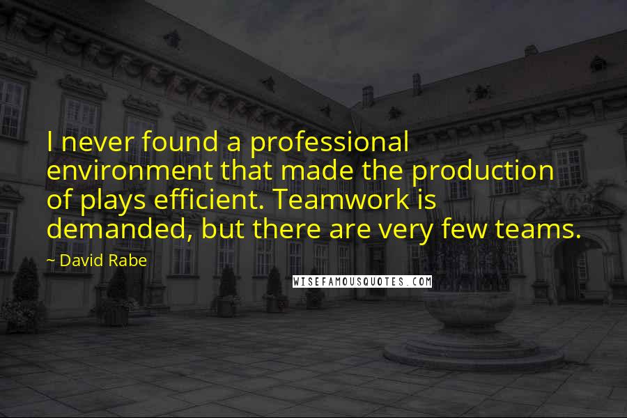 David Rabe Quotes: I never found a professional environment that made the production of plays efficient. Teamwork is demanded, but there are very few teams.
