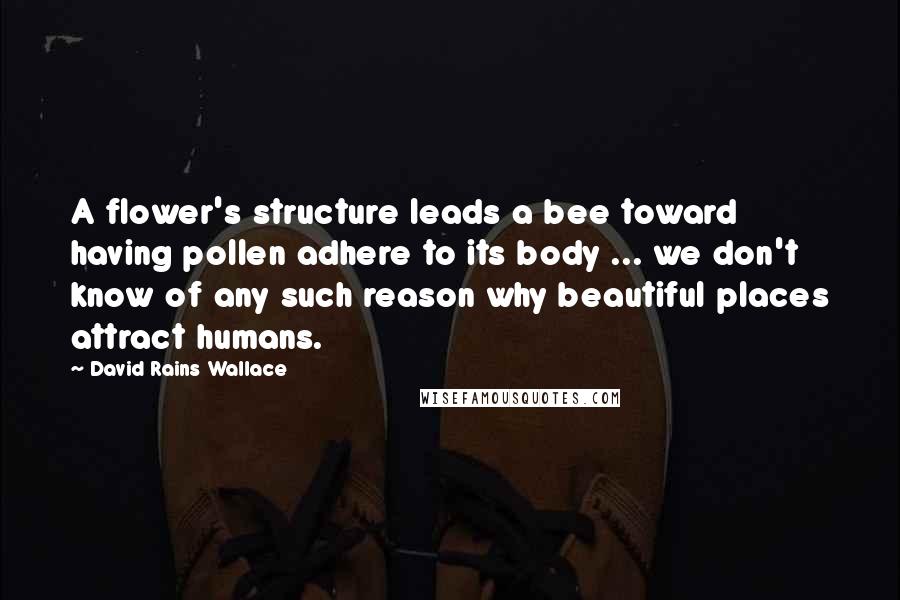 David Rains Wallace Quotes: A flower's structure leads a bee toward having pollen adhere to its body ... we don't know of any such reason why beautiful places attract humans.