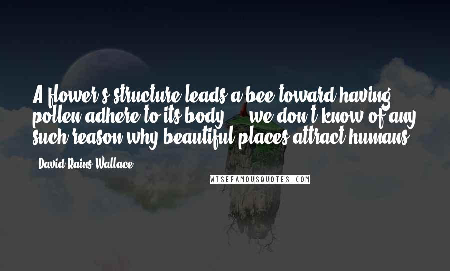 David Rains Wallace Quotes: A flower's structure leads a bee toward having pollen adhere to its body ... we don't know of any such reason why beautiful places attract humans.