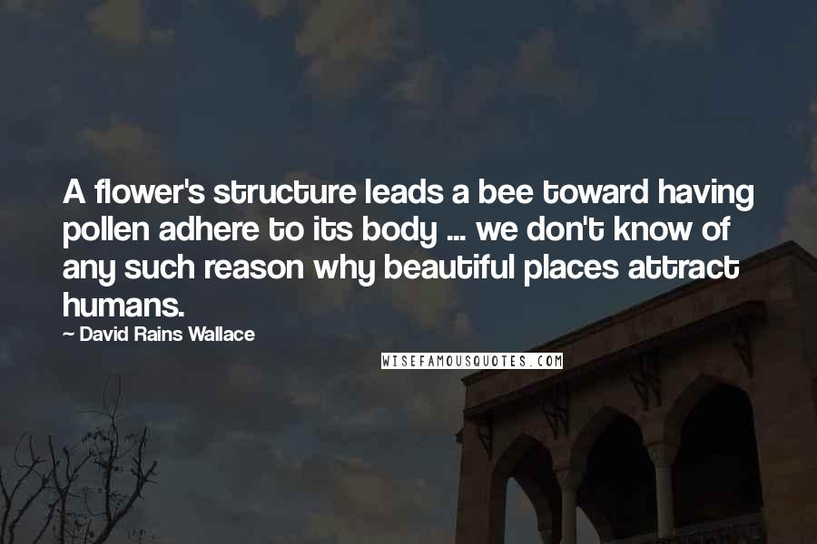 David Rains Wallace Quotes: A flower's structure leads a bee toward having pollen adhere to its body ... we don't know of any such reason why beautiful places attract humans.