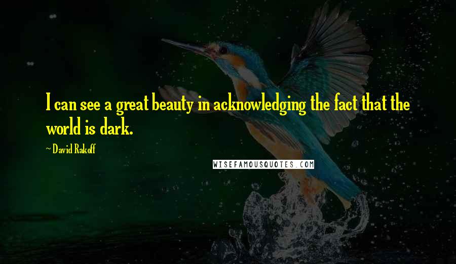 David Rakoff Quotes: I can see a great beauty in acknowledging the fact that the world is dark.