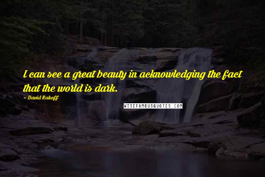 David Rakoff Quotes: I can see a great beauty in acknowledging the fact that the world is dark.