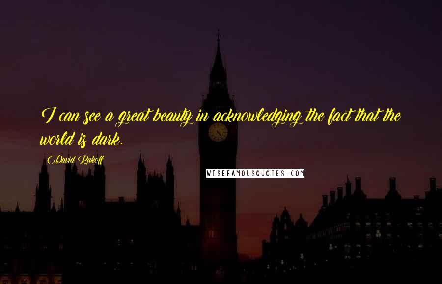 David Rakoff Quotes: I can see a great beauty in acknowledging the fact that the world is dark.