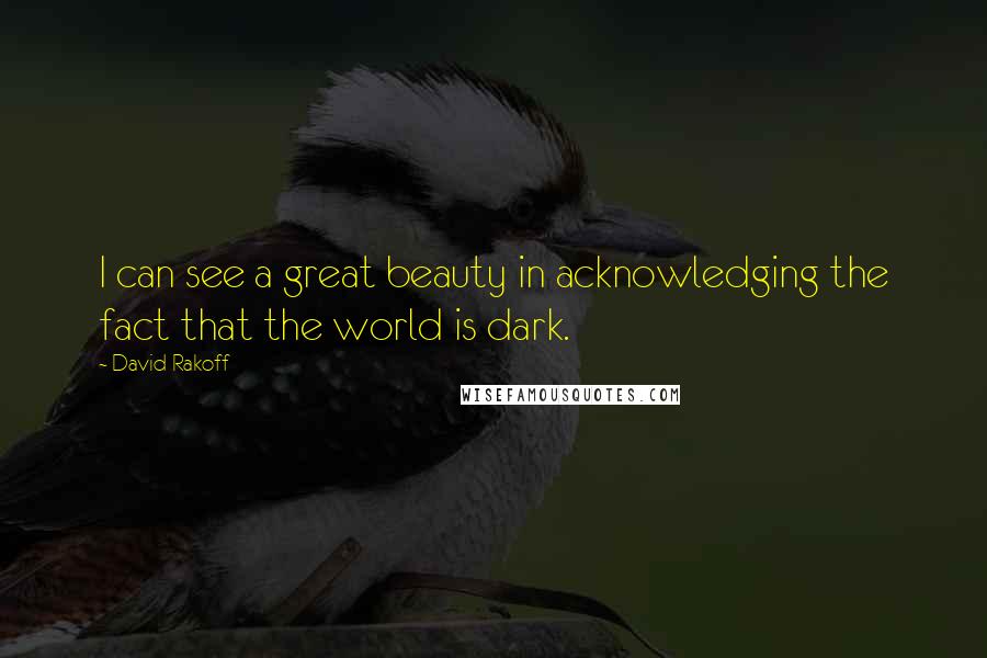 David Rakoff Quotes: I can see a great beauty in acknowledging the fact that the world is dark.