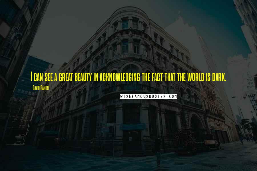 David Rakoff Quotes: I can see a great beauty in acknowledging the fact that the world is dark.