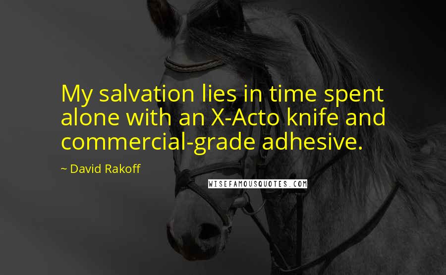 David Rakoff Quotes: My salvation lies in time spent alone with an X-Acto knife and commercial-grade adhesive.