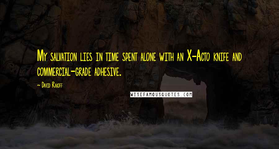 David Rakoff Quotes: My salvation lies in time spent alone with an X-Acto knife and commercial-grade adhesive.