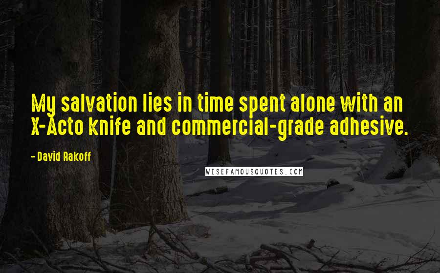 David Rakoff Quotes: My salvation lies in time spent alone with an X-Acto knife and commercial-grade adhesive.