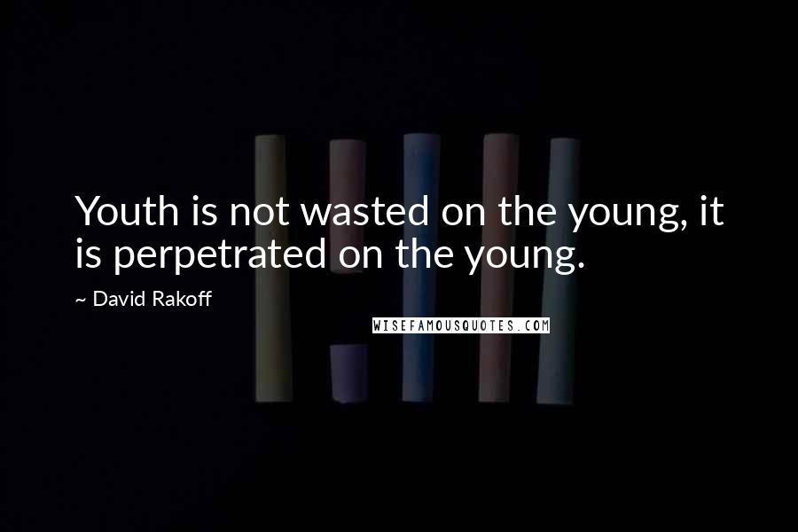 David Rakoff Quotes: Youth is not wasted on the young, it is perpetrated on the young.