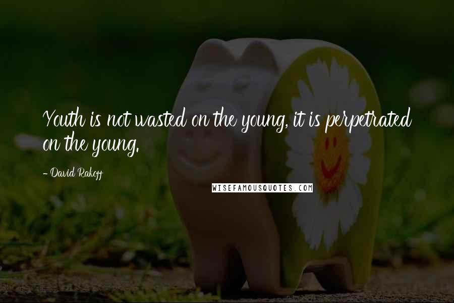 David Rakoff Quotes: Youth is not wasted on the young, it is perpetrated on the young.