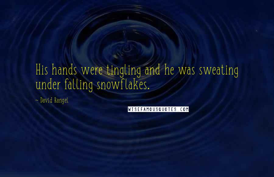 David Rangel Quotes: His hands were tingling and he was sweating under falling snowflakes.