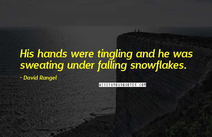 David Rangel Quotes: His hands were tingling and he was sweating under falling snowflakes.