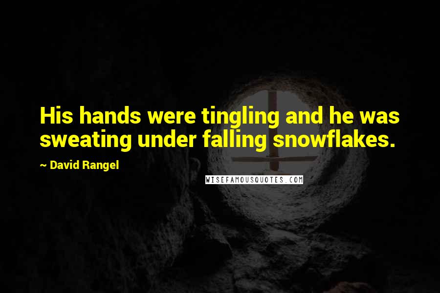 David Rangel Quotes: His hands were tingling and he was sweating under falling snowflakes.