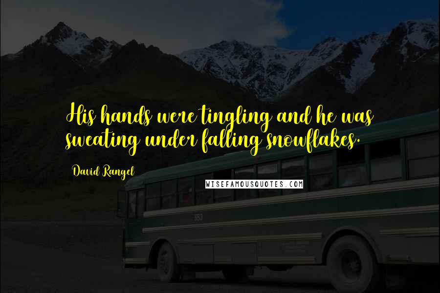 David Rangel Quotes: His hands were tingling and he was sweating under falling snowflakes.