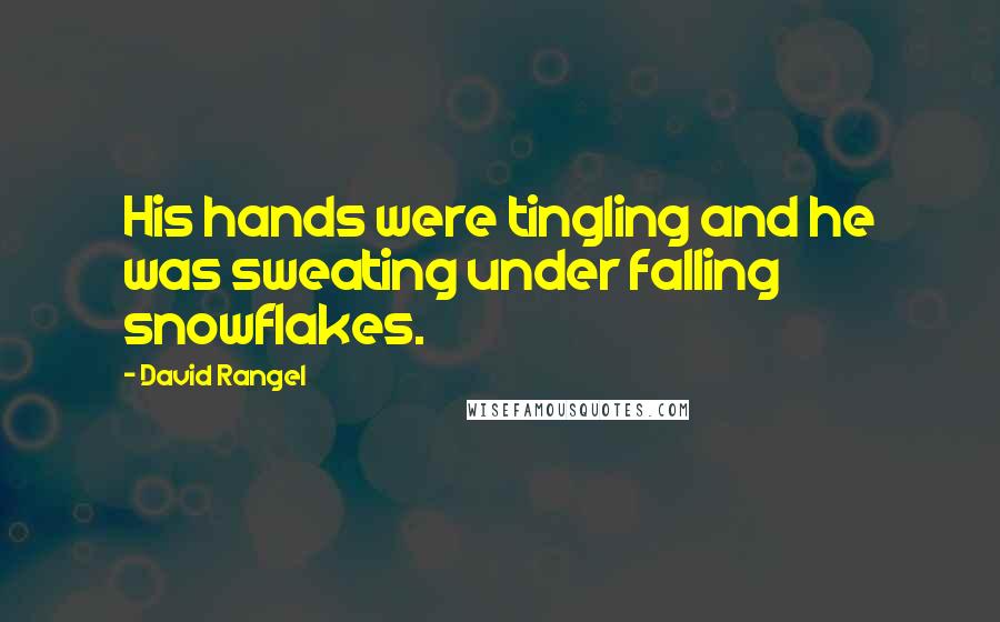 David Rangel Quotes: His hands were tingling and he was sweating under falling snowflakes.