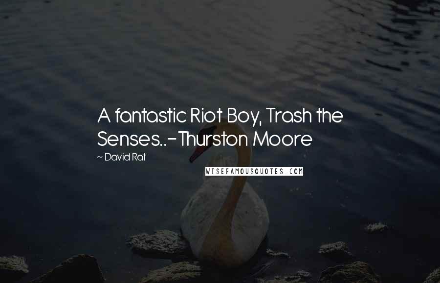 David Rat Quotes: A fantastic Riot Boy, Trash the Senses..-Thurston Moore