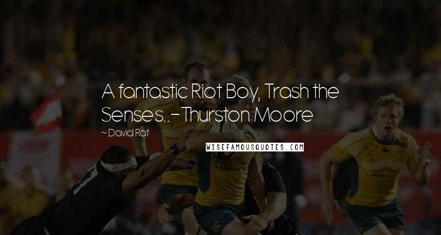 David Rat Quotes: A fantastic Riot Boy, Trash the Senses..-Thurston Moore