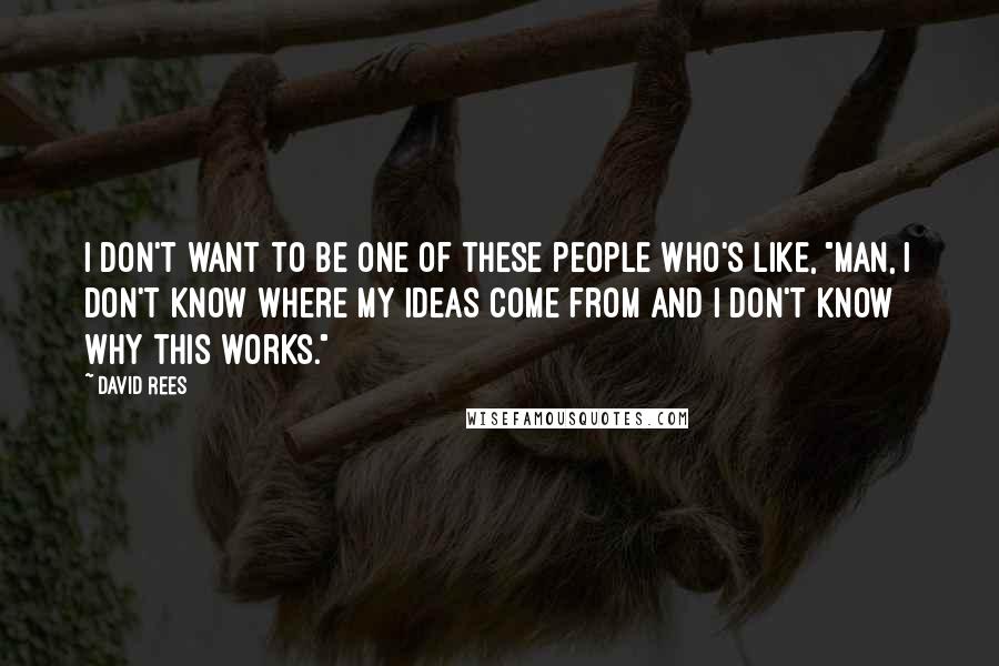 David Rees Quotes: I don't want to be one of these people who's like, "Man, I don't know where my ideas come from and I don't know why this works."