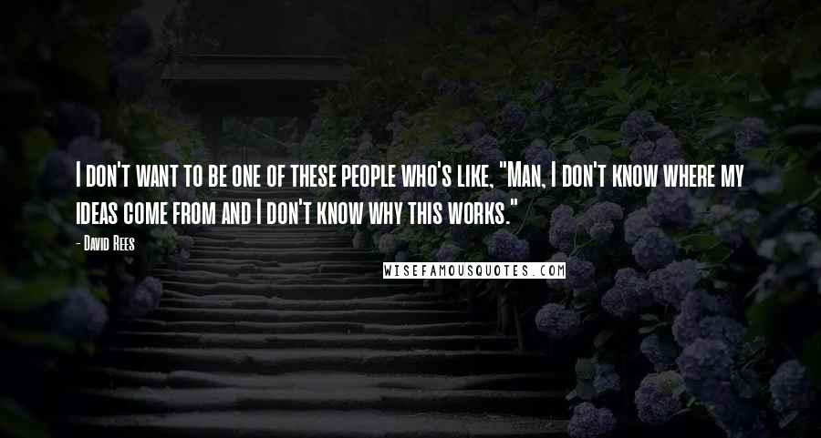 David Rees Quotes: I don't want to be one of these people who's like, "Man, I don't know where my ideas come from and I don't know why this works."