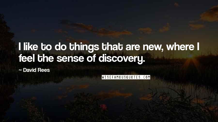 David Rees Quotes: I like to do things that are new, where I feel the sense of discovery.