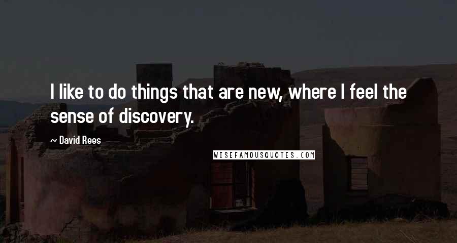 David Rees Quotes: I like to do things that are new, where I feel the sense of discovery.