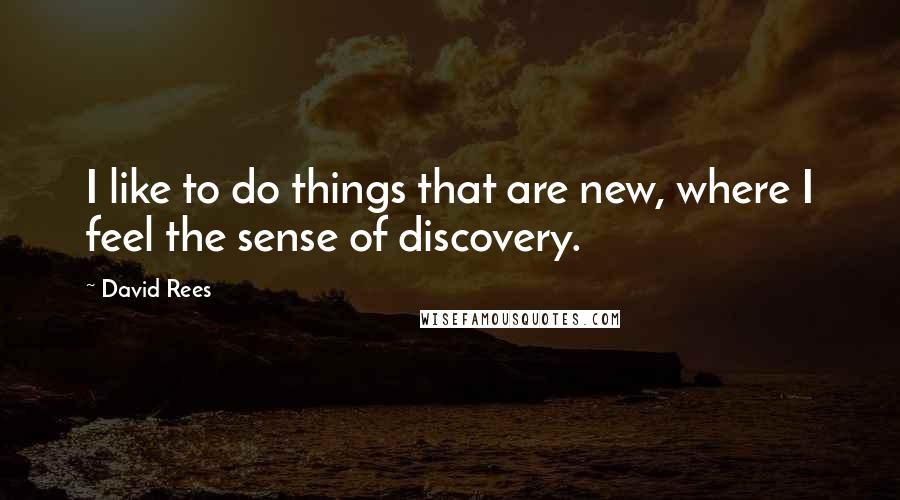 David Rees Quotes: I like to do things that are new, where I feel the sense of discovery.