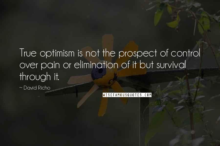 David Richo Quotes: True optimism is not the prospect of control over pain or elimination of it but survival through it.