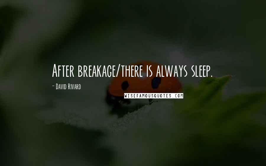 David Rivard Quotes: After breakage/there is always sleep.
