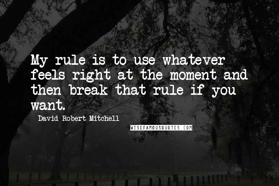 David Robert Mitchell Quotes: My rule is to use whatever feels right at the moment and then break that rule if you want.