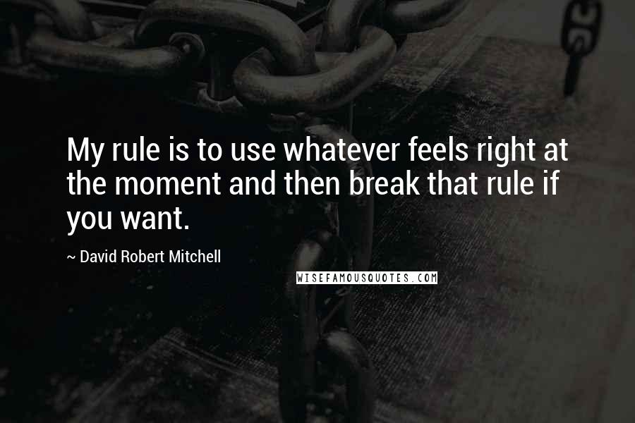 David Robert Mitchell Quotes: My rule is to use whatever feels right at the moment and then break that rule if you want.