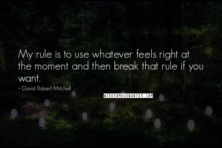 David Robert Mitchell Quotes: My rule is to use whatever feels right at the moment and then break that rule if you want.