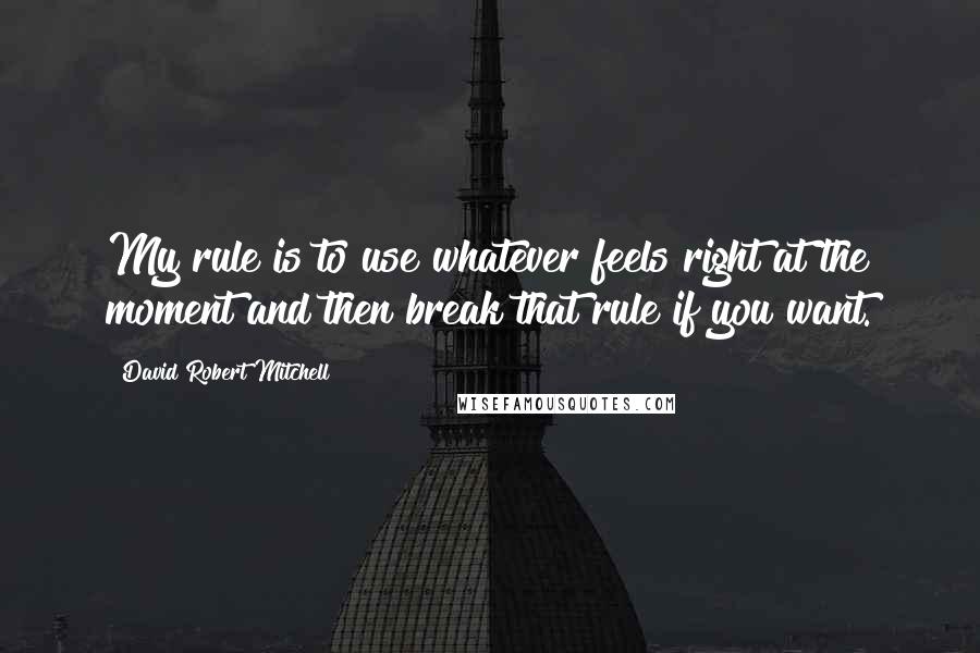 David Robert Mitchell Quotes: My rule is to use whatever feels right at the moment and then break that rule if you want.