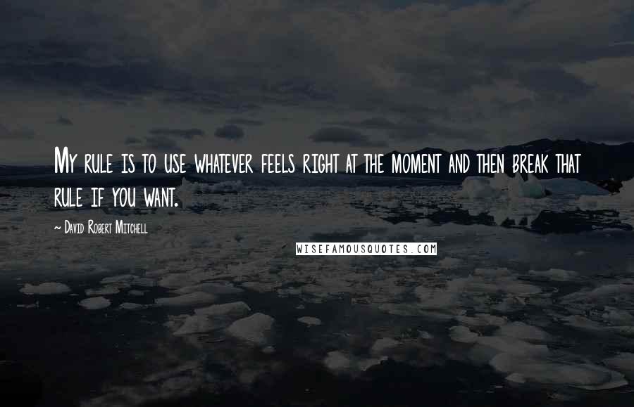 David Robert Mitchell Quotes: My rule is to use whatever feels right at the moment and then break that rule if you want.