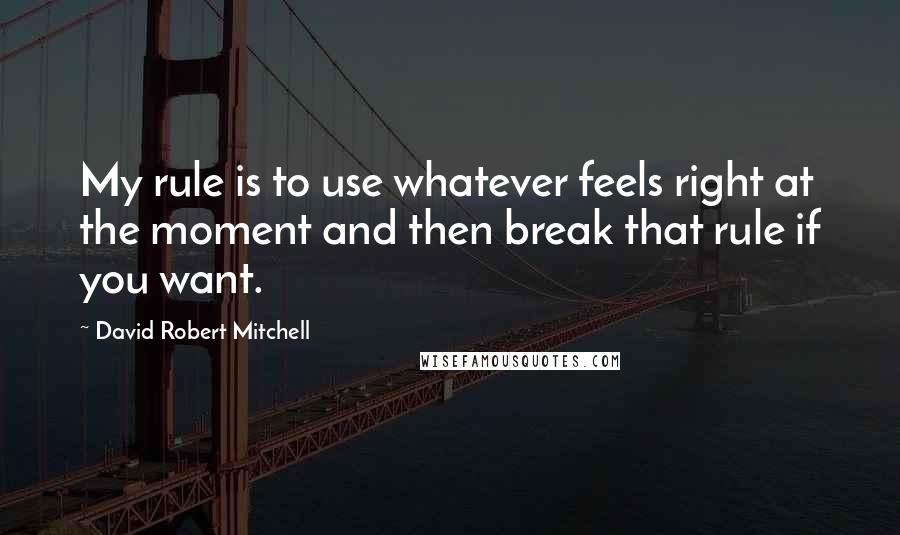 David Robert Mitchell Quotes: My rule is to use whatever feels right at the moment and then break that rule if you want.