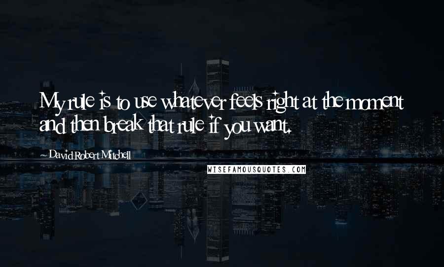 David Robert Mitchell Quotes: My rule is to use whatever feels right at the moment and then break that rule if you want.