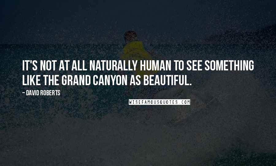 David Roberts Quotes: It's not at all naturally human to see something like the Grand Canyon as beautiful.