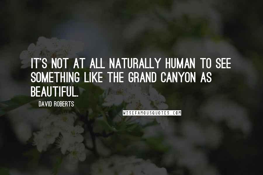 David Roberts Quotes: It's not at all naturally human to see something like the Grand Canyon as beautiful.