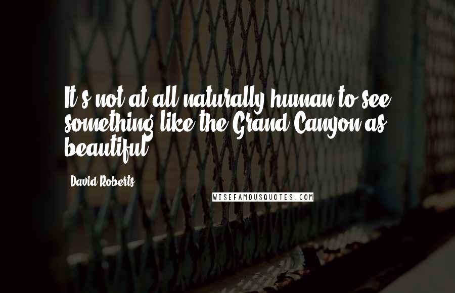 David Roberts Quotes: It's not at all naturally human to see something like the Grand Canyon as beautiful.