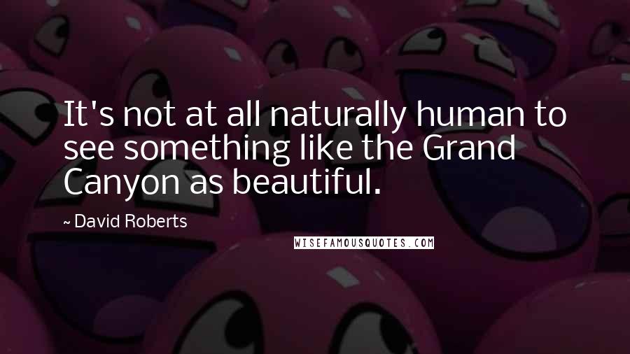 David Roberts Quotes: It's not at all naturally human to see something like the Grand Canyon as beautiful.
