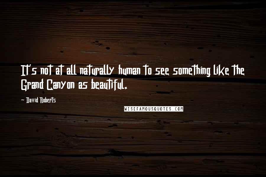 David Roberts Quotes: It's not at all naturally human to see something like the Grand Canyon as beautiful.