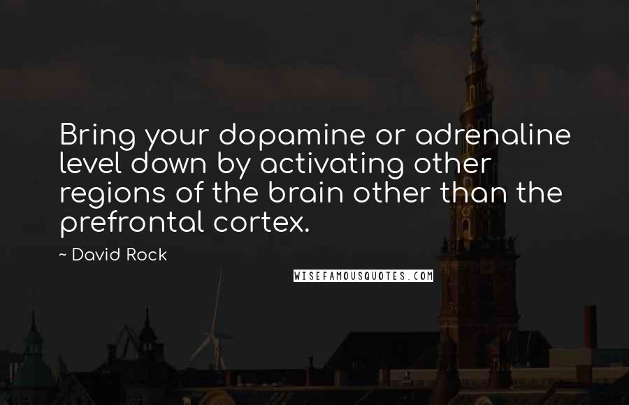 David Rock Quotes: Bring your dopamine or adrenaline level down by activating other regions of the brain other than the prefrontal cortex.