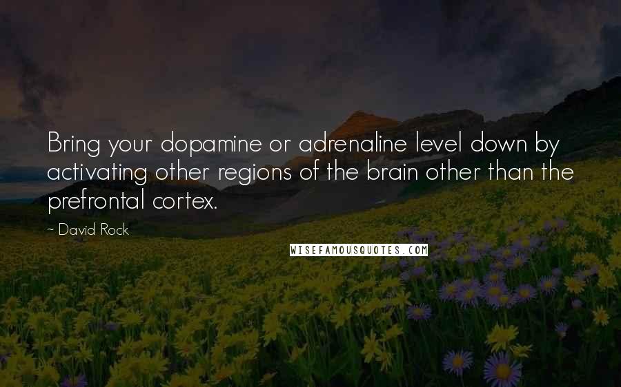 David Rock Quotes: Bring your dopamine or adrenaline level down by activating other regions of the brain other than the prefrontal cortex.