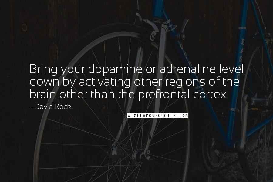 David Rock Quotes: Bring your dopamine or adrenaline level down by activating other regions of the brain other than the prefrontal cortex.