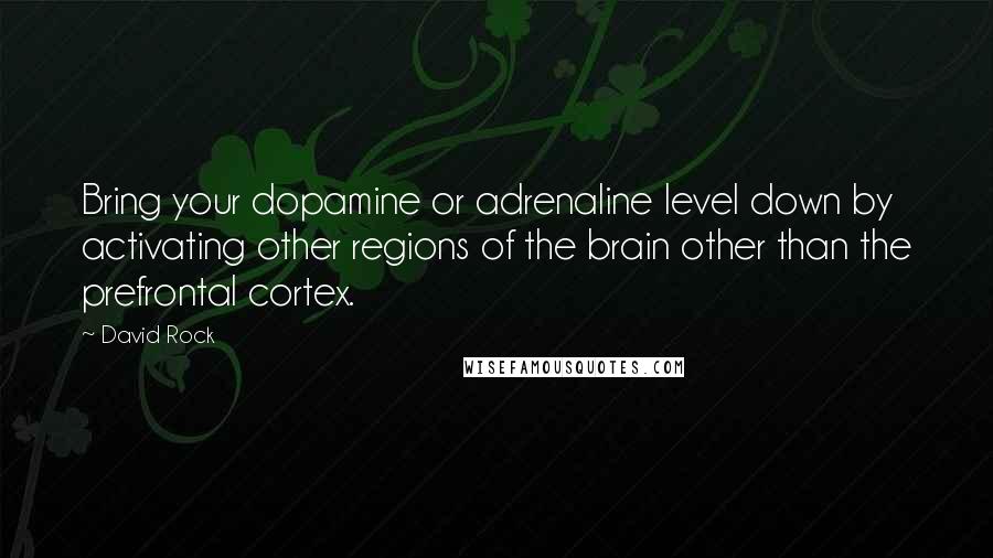 David Rock Quotes: Bring your dopamine or adrenaline level down by activating other regions of the brain other than the prefrontal cortex.