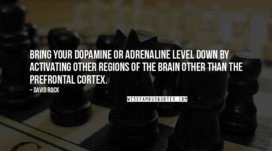 David Rock Quotes: Bring your dopamine or adrenaline level down by activating other regions of the brain other than the prefrontal cortex.